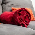 O Coin Des Voyageurs - Wifi, Tv, Terrasse Апартаменты *